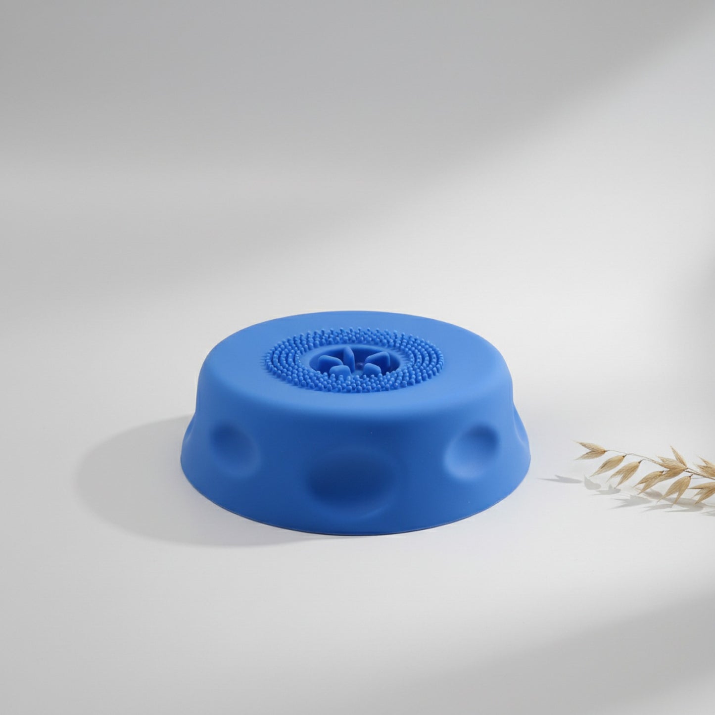 Bol Nourrissage Lent pour Chien et Chiot - Silicone Anti-Étouffement 250ml