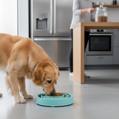 Gamelle Anti-Glouton pour Chien : Ralentit l'Alimentation, Amusante & Antidérapante