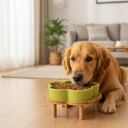 Bol Lente Alimentation en Céramique avec Support Bois - Anti-Étouffement pour Chiens & Chats Moyens/Grands